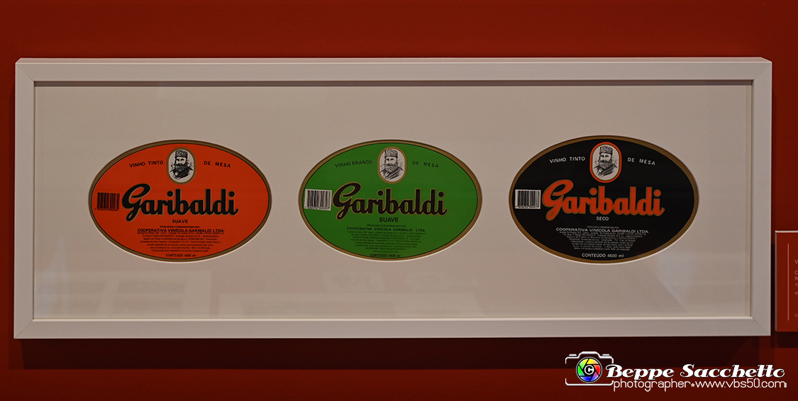 VBS_3136 - Hero - Garibaldi Icona Pop.jpg